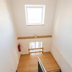 Wohlleben Petrus Vi *
