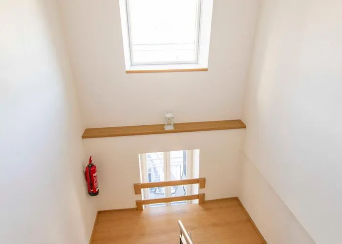 Wohlleben Petrus Vi *